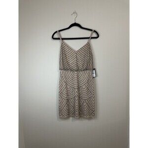 Adrianna Papell NWT Women's Size 2 Taupe/Pink V-Neck Beaded Blouson Mesh Dress